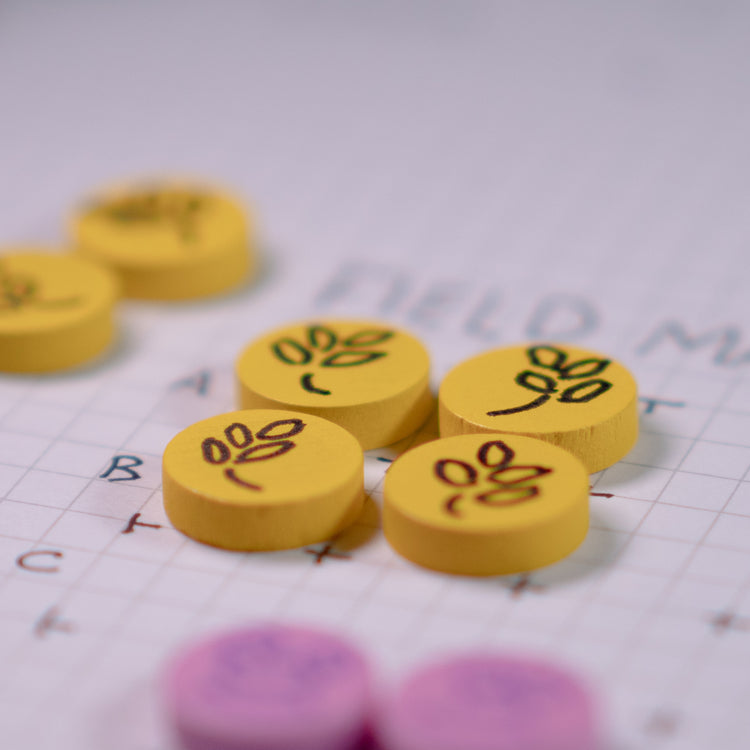 Yellow Wooden Discs 15mm Pack of 10